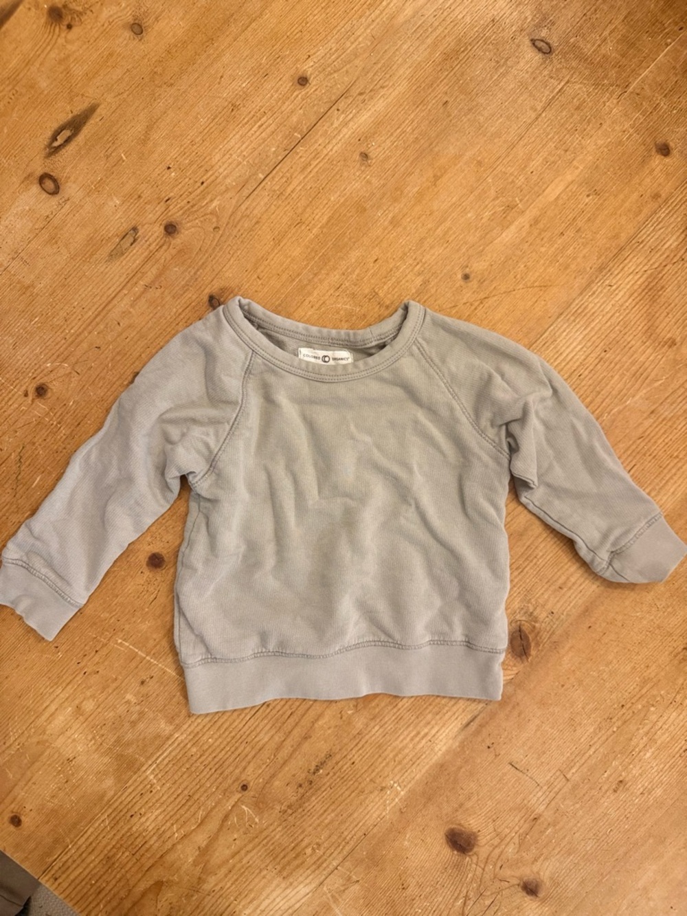 Colored Organics Light Grey Kids Sweatshirt - Long Sleeve Pullover